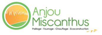 Anjou Miscanthus